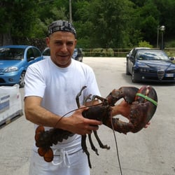 cavallo pazzo