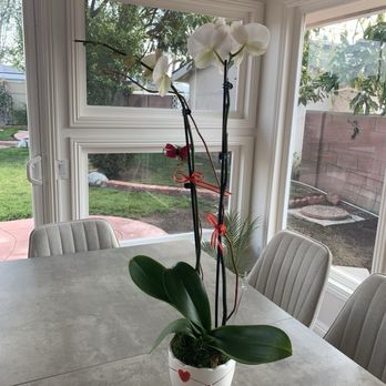Canoga Park Florist - What was delivered - Florists Near Me - Canoga Park, California Canoga Park Florist - What was delivered - Florists Near Me - Canoga Park, California