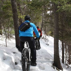 Cycle Solutions - Mountain fatbikes