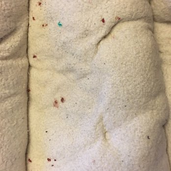 The Muddy Mutt - Little blood spots all over his bed. - Pet Groomers Near Me - Arlington, Virginia