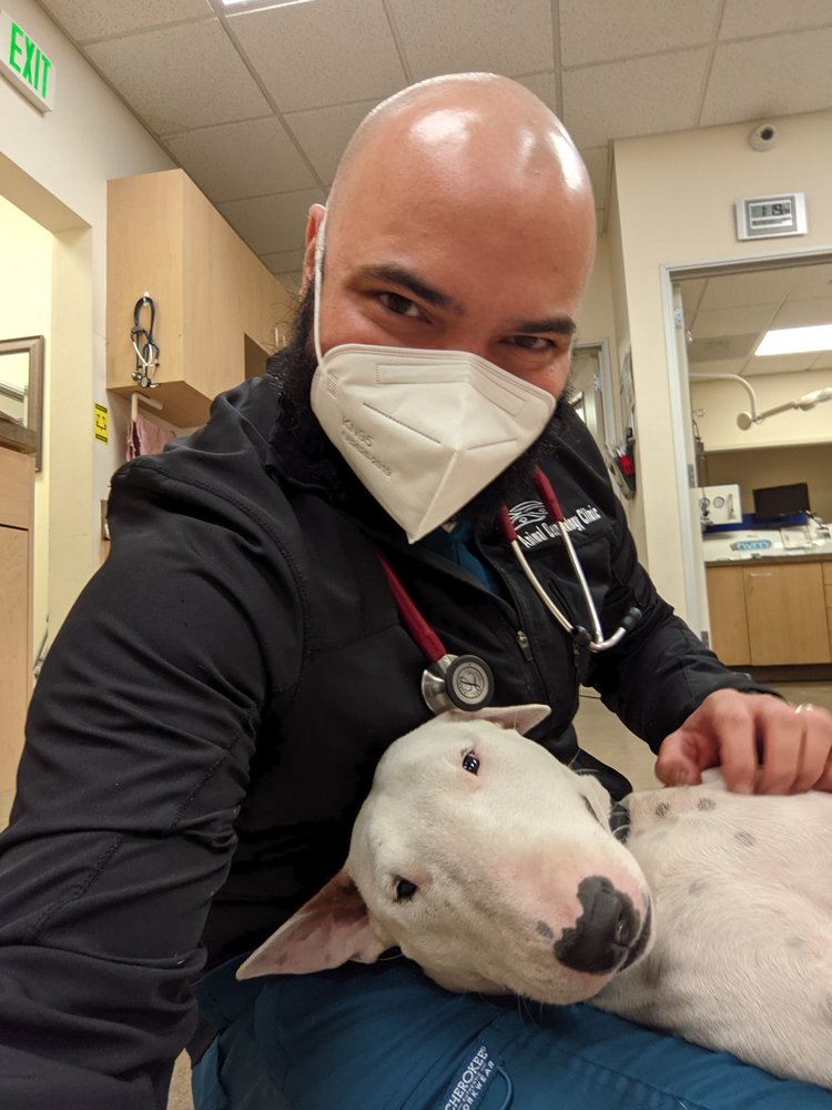 ANIMAL DERMATOLOGY CLINIC PORTLAND Updated September 2024 38 Photos