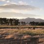 Photo of Zapata Ranch: A Nature Conservancy Preserve