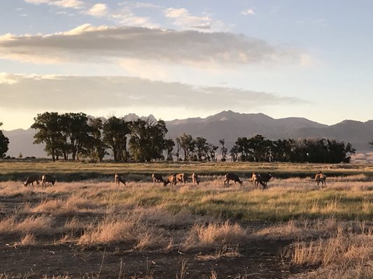 Zapata Ranch by null