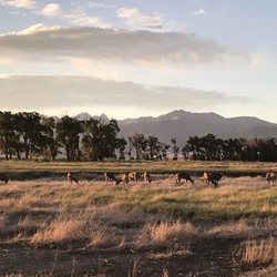 Zapata Ranch: A Nature Conservancy Preserve