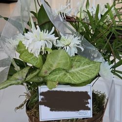Lou Gentile's Flower Basket - Photo of what was delivered.