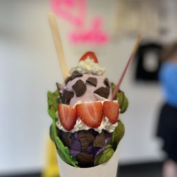 Homemade Ice Creams