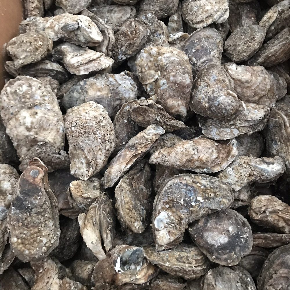 Capt Greg's Seafood - a box of oysters - Seafood Markets Near Me - Mechanicsville, Virginia