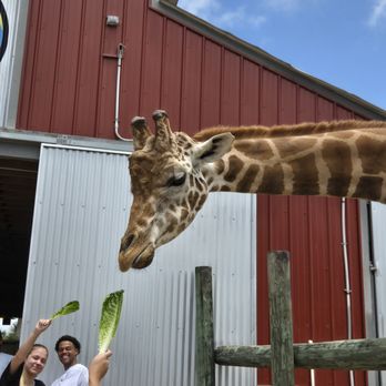 Zoo World - Zoos Near Me - Panama City Beach, Florida Zoo World - Zoos Near Me - Panama City Beach, Florida