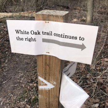 White Oak Trail - And also to the left.. - Hiking Near Me - Louisville, Kentucky White Oak Trail - And also to the left.. - Hiking Near Me - Louisville, Kentucky