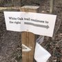Photo of White Oak Trail