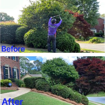 Mr Lawns - before and after photos - Lawn Services Near Me