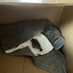 Austin Wildlife Rescue