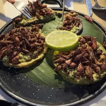 La Gruta - Grasshoppers atop guacamole with a delicious, super fresh and handmade green sope that we'd never tried before - Mexican Near Me - Teotihuacán de Arista, MEX
