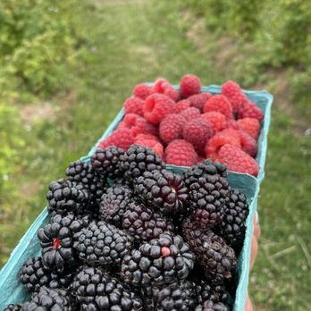 Topaz Farm - Farmers Market Near Me - Portland, Oregon