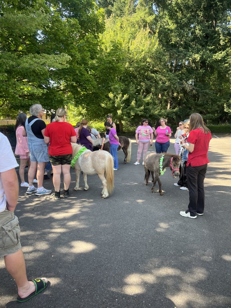 Shakem Pony Rides - equestrian in Aurora, OR