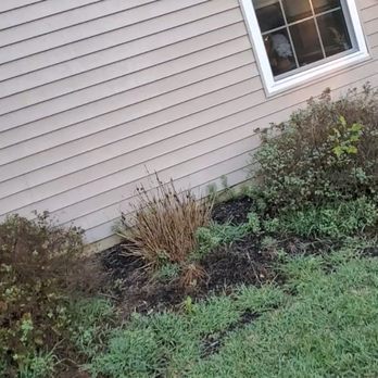 Hyperion Tree Service - Before - Tree Services Near Me - Delran, New Jersey