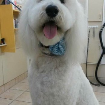 Millie's Dog World - Pet Groomers Near Me - Phoenix, Arizona