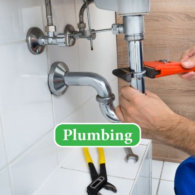 Slide of Aardvark Rooter