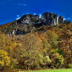 Golden Anchor Cabins - Seneca Rocks in the fall