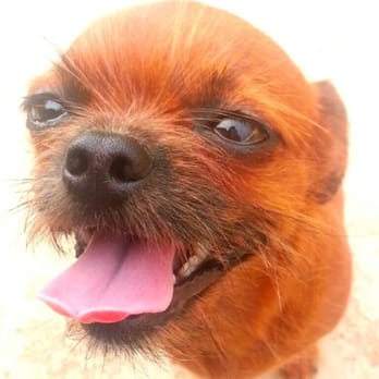 Small Animal Clinic - Fat girl loves small animal clinic.... - Veterinarians Near Me - Casa Grande, Arizona Small Animal Clinic - Fat girl loves small animal clinic.... - Veterinarians Near Me - Casa Grande, Arizona