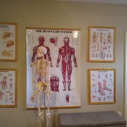 Healing Medical Massage - Helping my clients understand how the body works and how to maintain them pain free.