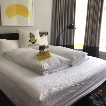 Staypineapple, An Iconic Hotel, The Loop - Hotels Near Me - Chicago, Illinois