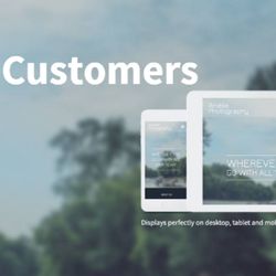 Illinois Royalty - Do you have a website? Is it Mobile ready? In today's market having a website is not good enough!...