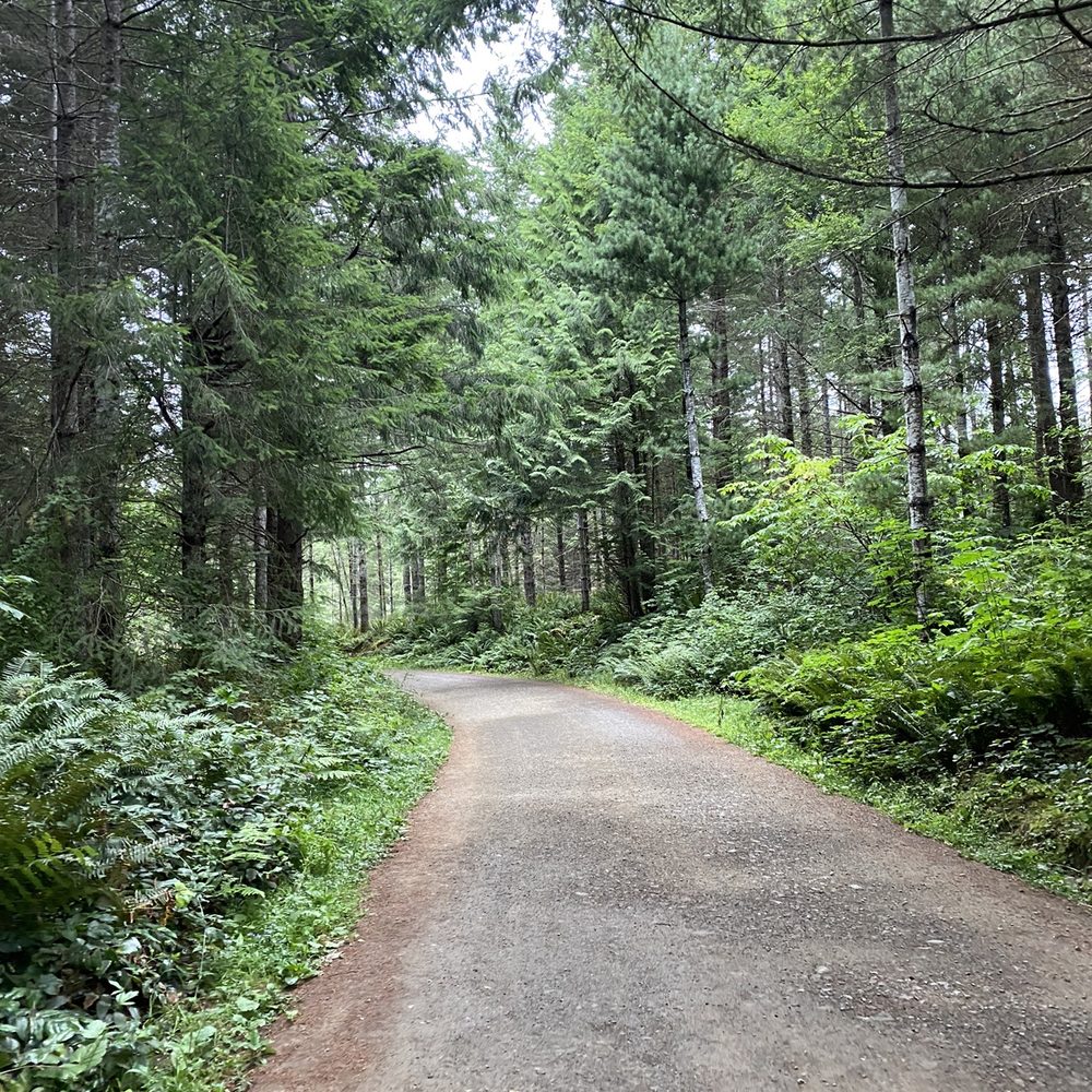 Dickerson Creek Waterfall - The stroller safe pathways - Hiking Near Me - Bremerton, Washington