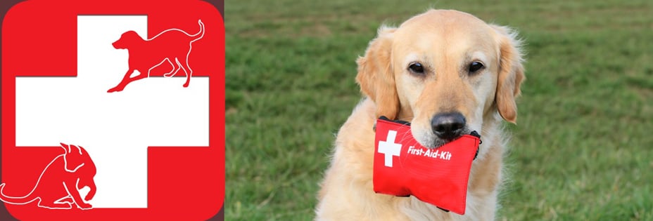 CODE 3 LIFE SUPPORT EDUCATION 26 Photos 17 Reviews First Aid code-3-life-support-education-26-photos-17-reviews-first-aid