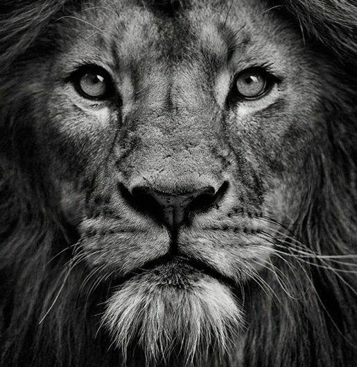 Leo Fresh Start - childcare center in Wasilla, AK