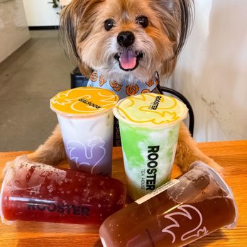 Rooster Tea - Costa Mesa - IG @FoodandPooch - Bubble Tea Near Me - Costa Mesa, California Rooster Tea - Costa Mesa - IG @FoodandPooch - Bubble Tea Near Me - Costa Mesa, California