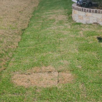 SodScapes Texas - Installation by Sodscapes Tx - Landscaping Near Me - Lewisville, Texas SodScapes Texas - Installation by Sodscapes Tx - Landscaping Near Me - Lewisville, Texas