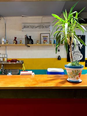 Seven Lives Tacos y Mariscos by null