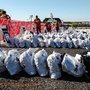 Photo of Ironman 70.3 Austin