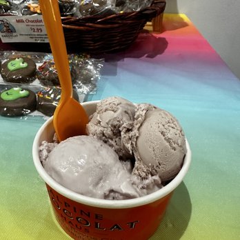 Alpine Chocolat Haus - Lavender Honey and Mackinac Island Lilac - Chocolatiers & Shops Near Me - Plymouth, Michigan Alpine Chocolat Haus - Lavender Honey and Mackinac Island Lilac - Chocolatiers & Shops Near Me - Plymouth, Michigan