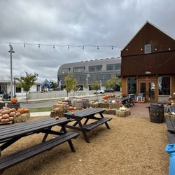 The Big Friendly - Pumpkin patch