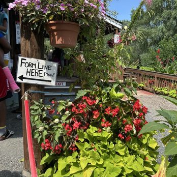 Bloom Hill Farm - Floral display at entrance - Ice Cream & Frozen Yogurt Near Me - Bloomfield, Connecticut