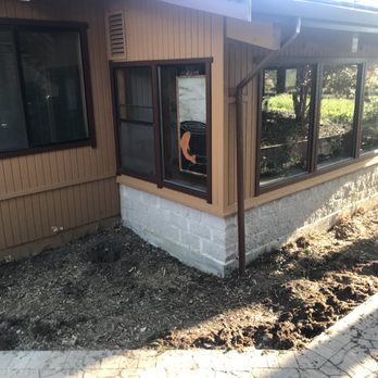 Apex Tree Care - Before - Tree Services Near Me