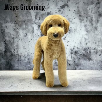 Wags Grooming - Pet Groomers Near Me - Kimberling City, Missouri Wags Grooming - Pet Groomers Near Me - Kimberling City, Missouri