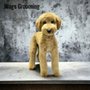 Wags Grooming