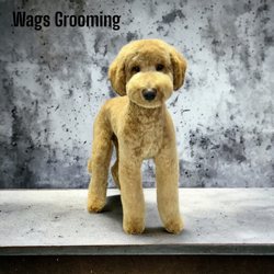 Wags Grooming