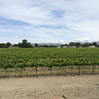 Concannon Vineyard - Wine Tasting Room Near Me - Livermore, California