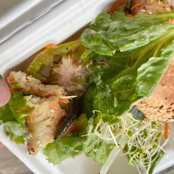 Kaya's - Bug, caterpillar, insect, lettuce, sandwich - Coffee & Tea Near Me - Kealakekua, Hawaii Kaya's - Bug, caterpillar, insect, lettuce, sandwich - Coffee & Tea Near Me - Kealakekua, Hawaii
