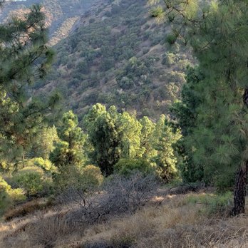 Bee Rock - Hiking Near Me - Los Angeles, California