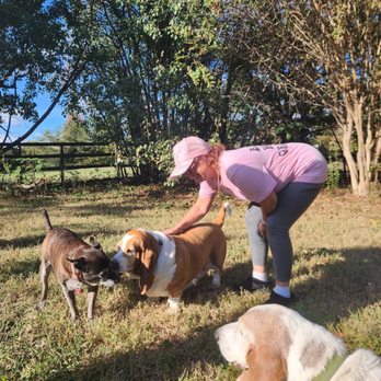 Naps and Snacks - Pet Sitting Near Me - Kernersville, North Carolina Naps and Snacks - Pet Sitting Near Me - Kernersville, North Carolina