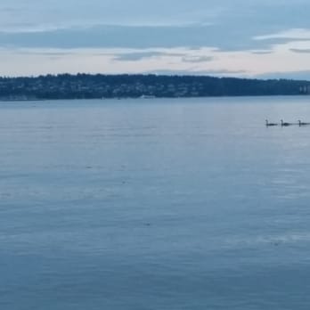 English Bay Beach Park - Parks Near Me - Vancouver, British Columbia English Bay Beach Park - Parks Near Me - Vancouver, British Columbia