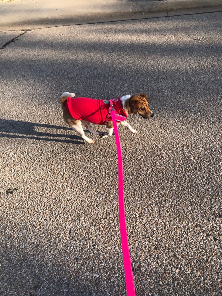 PETLAND WICHITA Updated September 2024 26 Photos & 29 Reviews