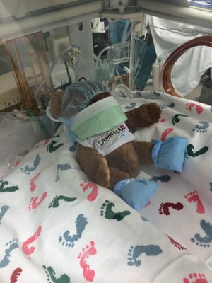 MaineHealth Maine Medical Center Portland Emergency Department by null