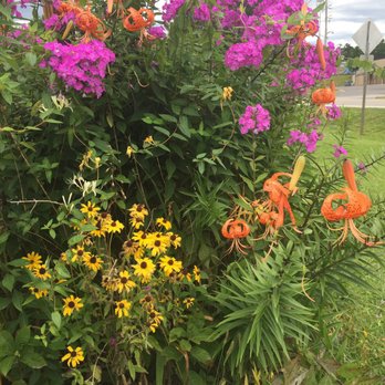 The Shack - a bush of purple and orange flowers - Burgers Near Me - Jessieville, Arkansas The Shack - a bush of purple and orange flowers - Burgers Near Me - Jessieville, Arkansas