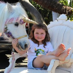 All Gods Creatures Petting Zoo and Pony Rides - Unicorn Party!